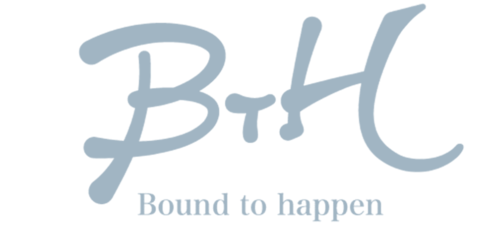 株式会社BTH