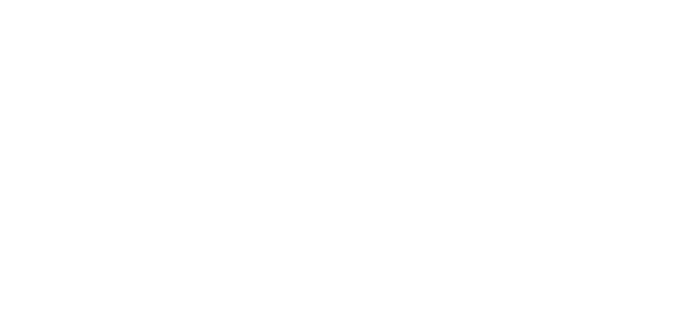 株式会社BTH
